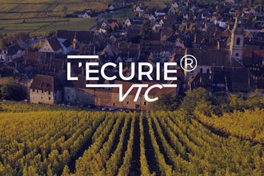 Private 3-hour road trip along the Alsace wine route with a VTC certified driver